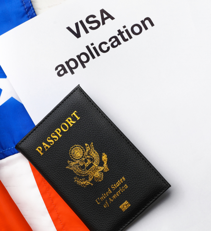 Visa Processing